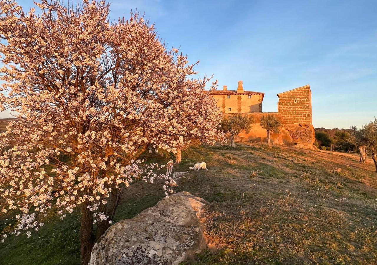 Castillo De Corvinos อูเอสกา ภายนอก รูปภาพ